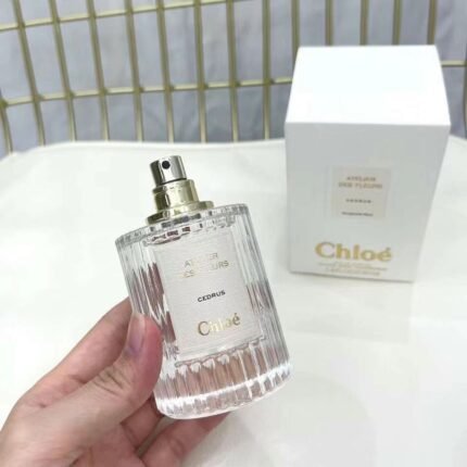 Kouyi Wonderland Garden Cedar 50ml with High Quality 1:1 Packaging