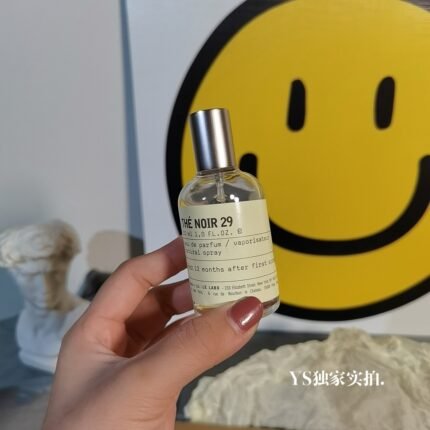 LANCOME PINK TUBE LIPSTICK 29 Black Tea perfume High quality 1:1